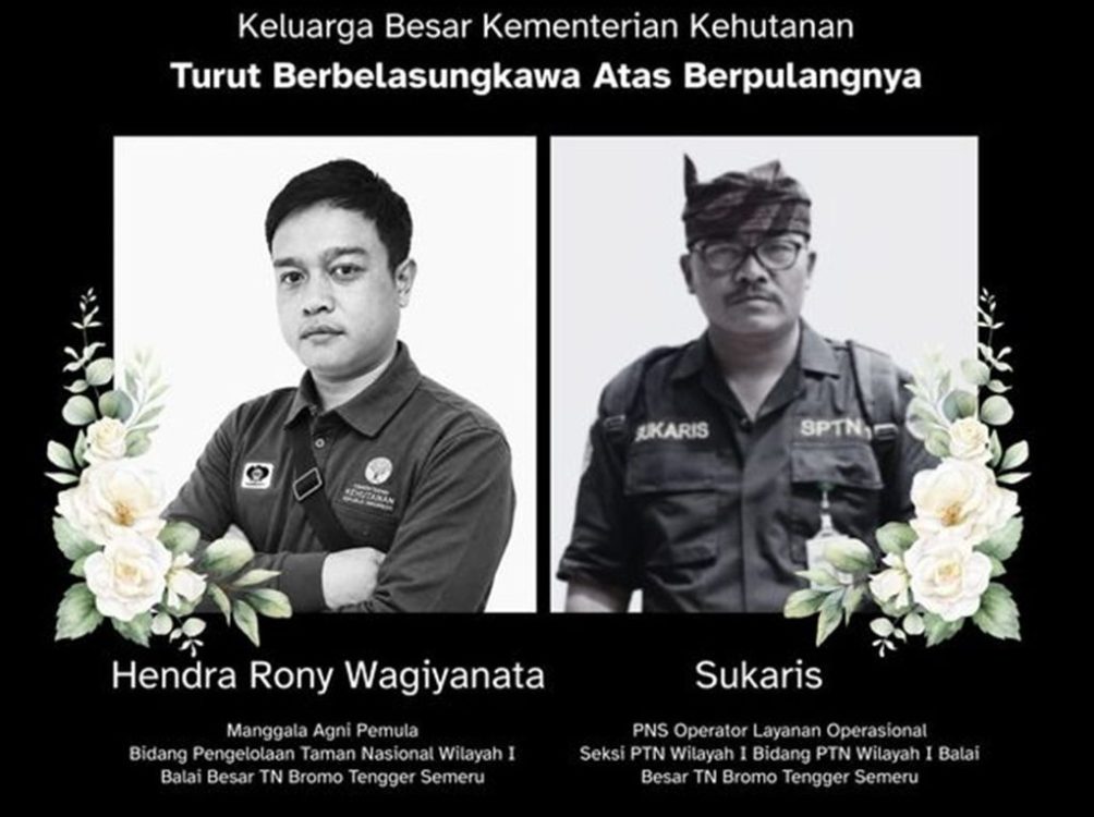Berita Terkini