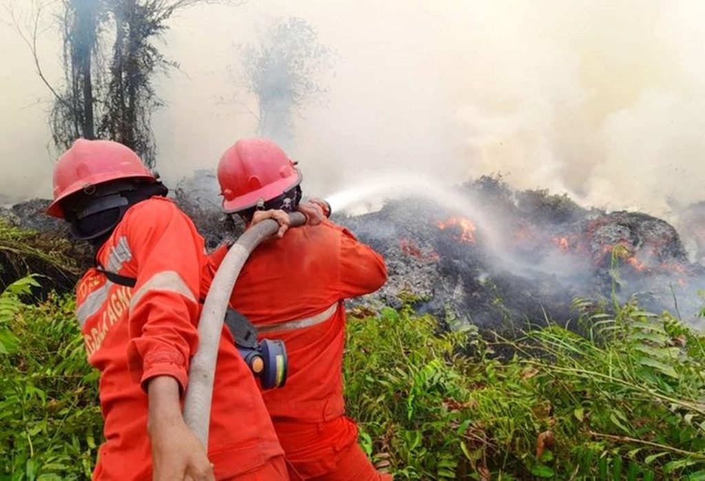 Berita Terkini