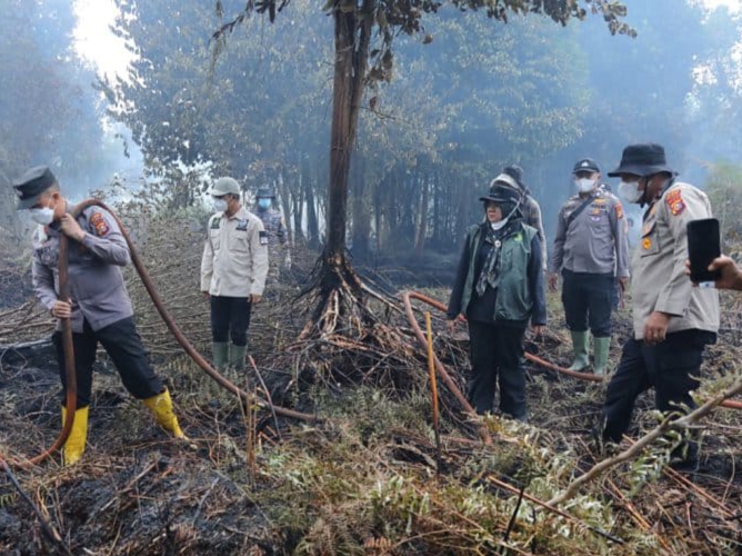 : Bupati Siak Afni Z meninjau Karhutla di Siak, Minggu (4/10/2026) Rahma: MC Siak