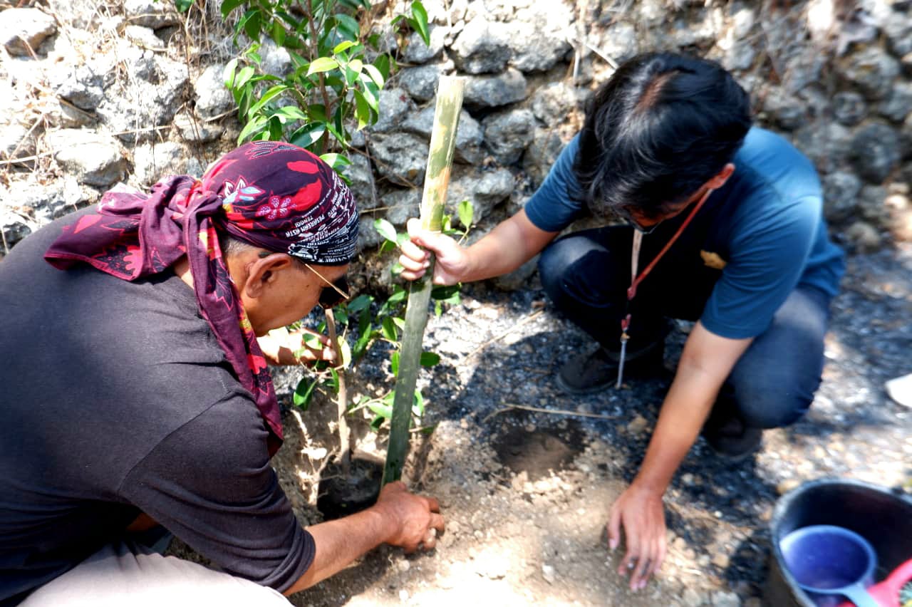: Guna menjaga sumber mata air dan mencegah ancaman longsor di lahan miring, UPN Veteran Yogyakarta bersinergi dengan Sekolah Air Hujan Banyu Bening Sleman menggelar aksi penanaman pohon beringin bersistem infus sekaligus mengedukasi warga terkait pemanfaatan air hujan di Panggang, Gunungkidul, Senin (5/10/2026).