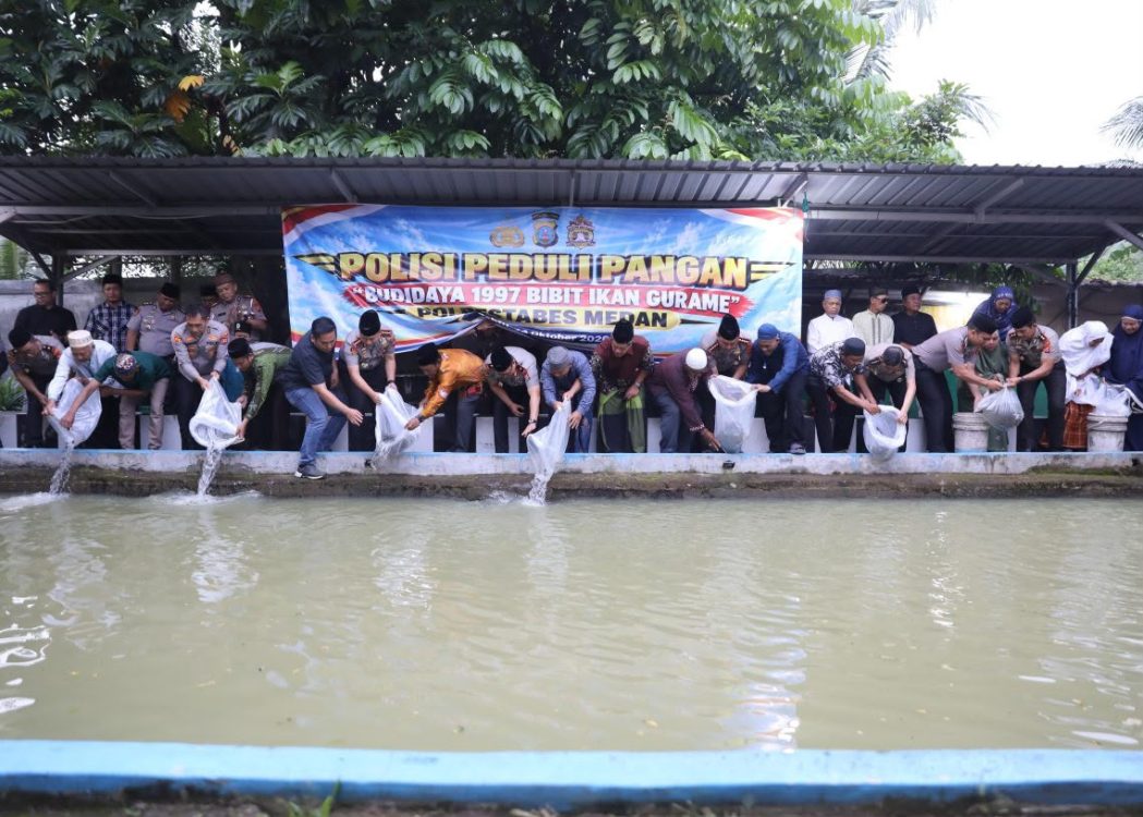 Dukung Ketahanan Pangan, Wakapolda Sumut bersama Kapolrestabes Medan Tebar 1.997 Bibit Ikan Gurami di Jermal XV