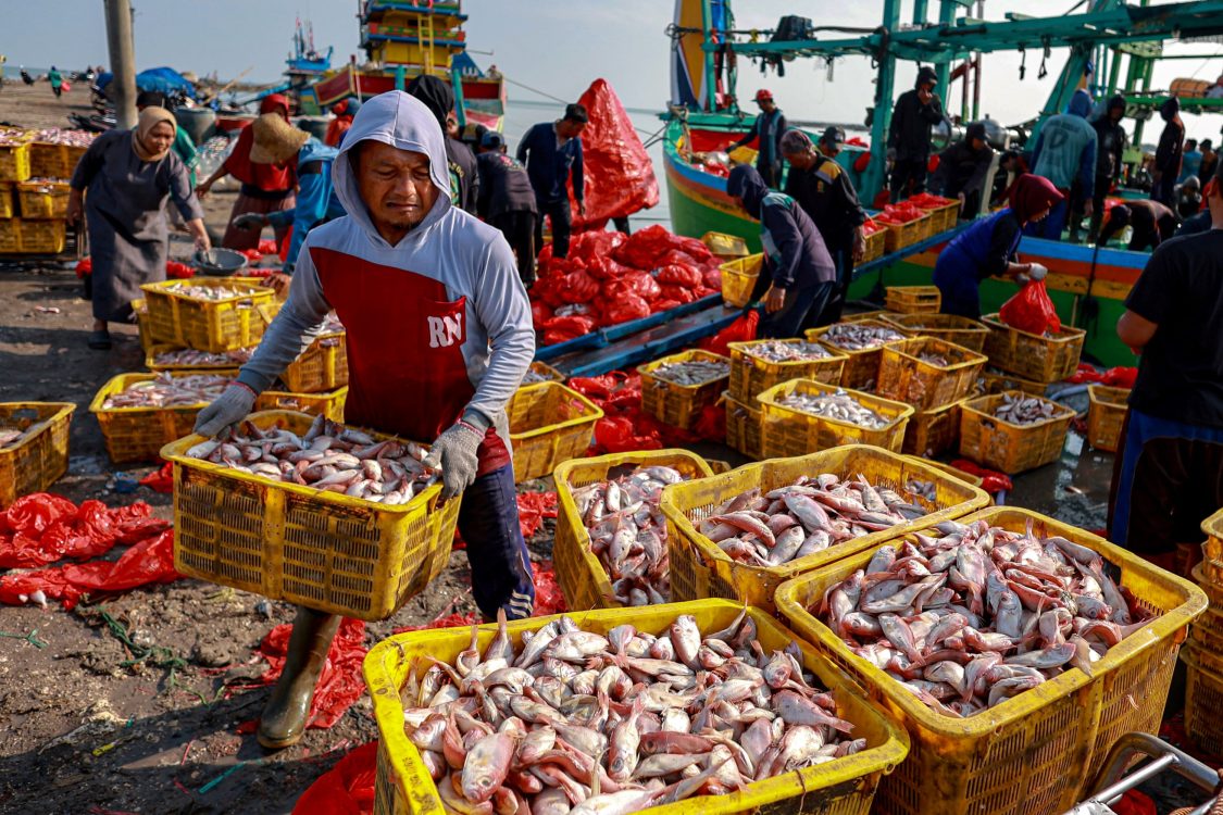 : Sejumlah pekerja memindahkan ikan dari kapal menuju tempat pelelangan ikan di TPI Palang, Tuban, Jawa Timur, Senin (5/10/2026). Badan Pusat Statistik (BPS) mencatat secara nasional Nilai Tukar Nelayan (NTN) pada September 2026 turun sebesar 0,17 persen dari bulan sebelumnya yakni dari 109,04 menjadi 108,85 yang disebabkan karena indeks harga yang diterima nelayan (It) mengalami kenaikan sebesar 0,62 persen lebih rendah dari kenaikan indeks harga yang dibayar oleh nelayan (Ib) sebesar 0,79 persen. ANTARA FOTO/Muhammad Mada/nz