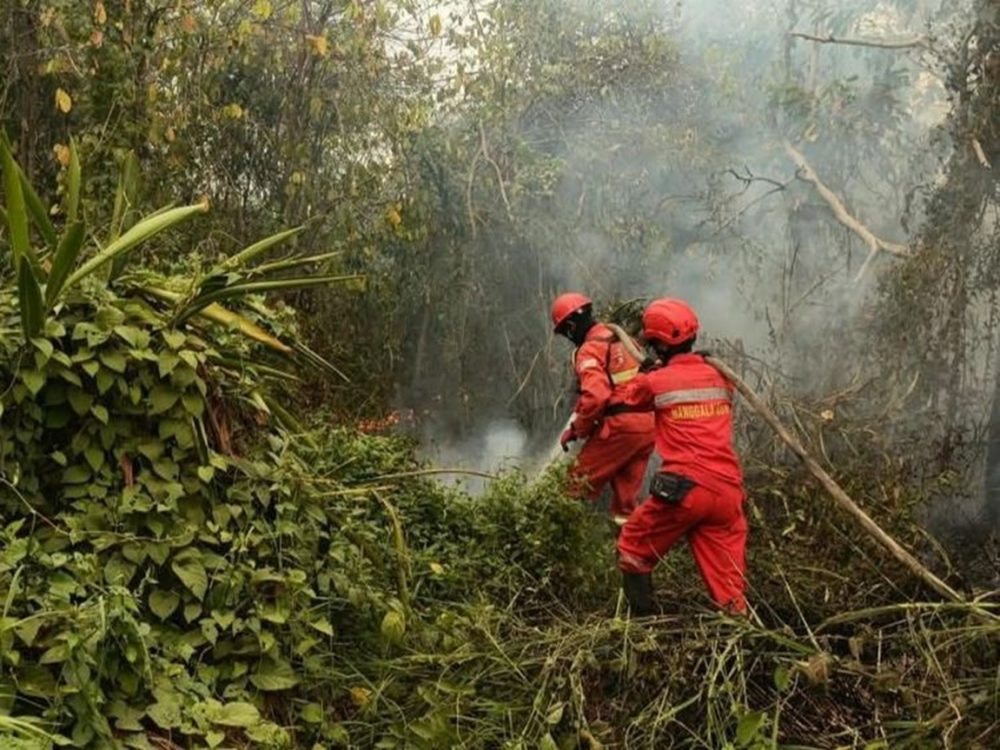: Kementerian Kehutanan terus memperkuat pengendalian kebakaran hutan dan lahan (karhutla) melalui operasi darat dan udara menyusul peningkatan jumlah titik panas (hotspot) dengan tingkat kepercayaan tinggi pada pemantauan terbaru. (Foto: Humas Kemenhut)