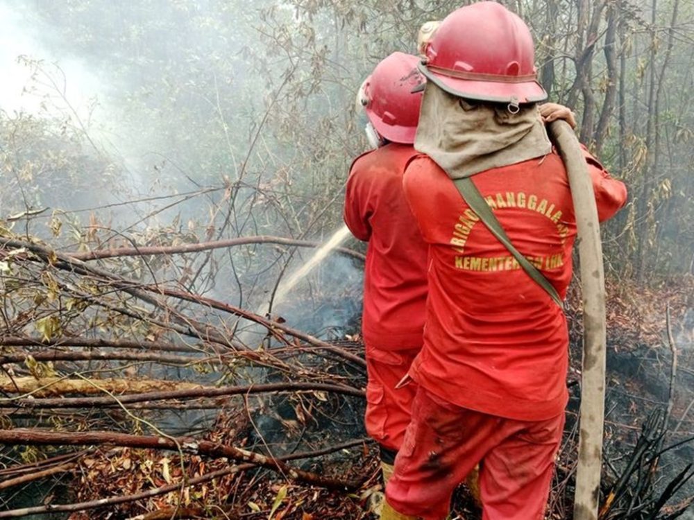 Hotspot Karhutla Naik Menjadi 118 Titik, Enam Provinsi Prioritas Tetap Nihil