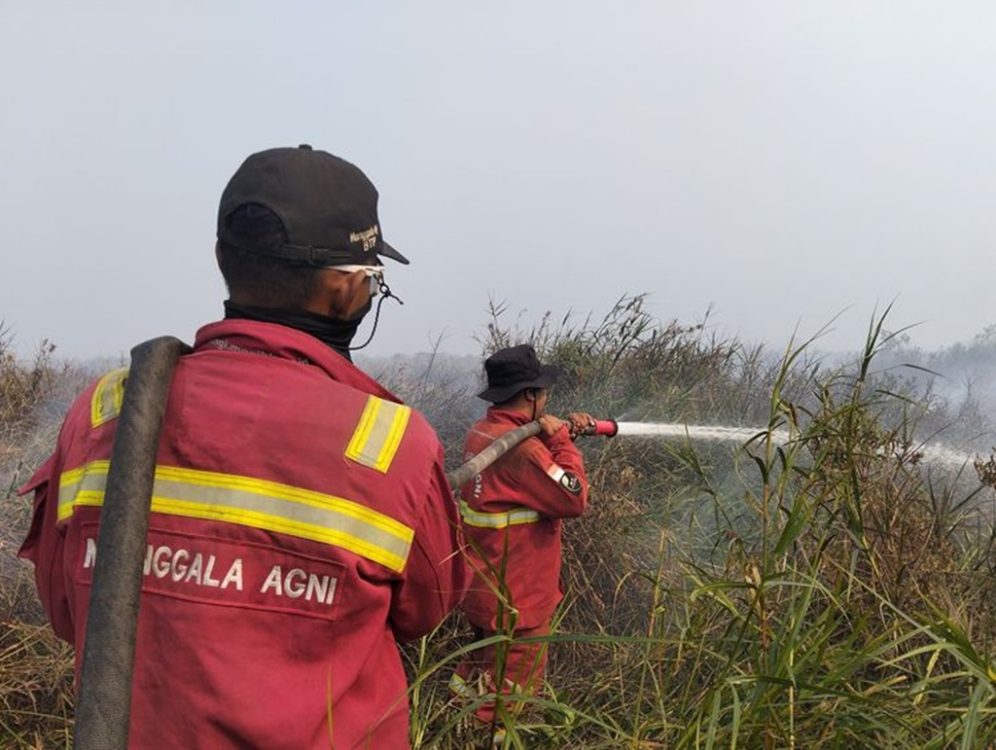 : Petugas Manggala Agni Kemenhut sedang memadamkan kebakaran hutan. (Foto: Humas Kemenhut)