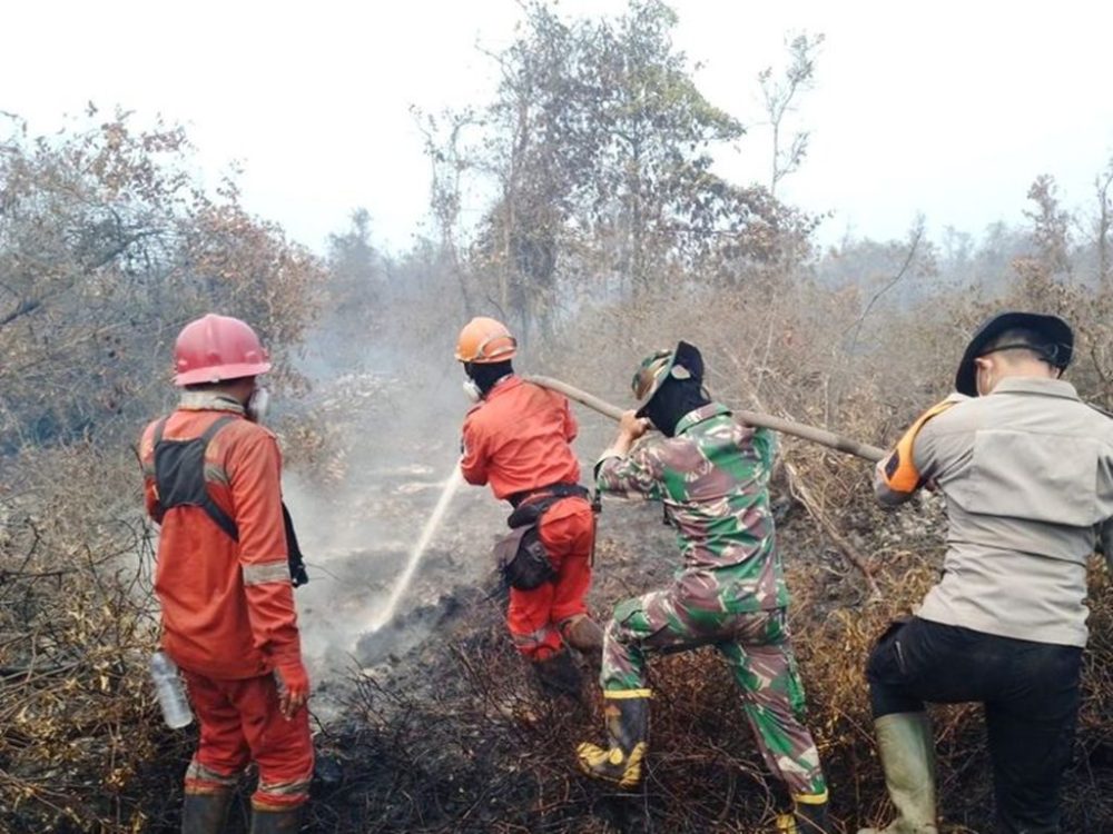 Hotspot Karhutla Turun Jadi 317 Titik, Kemenhut Tetap Perkuat Operasi di Wilayah Prioritas