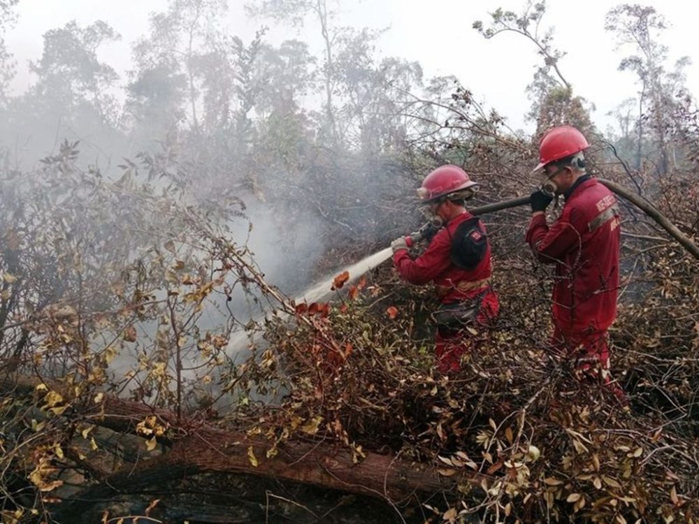 Hotspot Karhutla Turun Menjadi 79 Titik, Enam Provinsi Prioritas Nihil