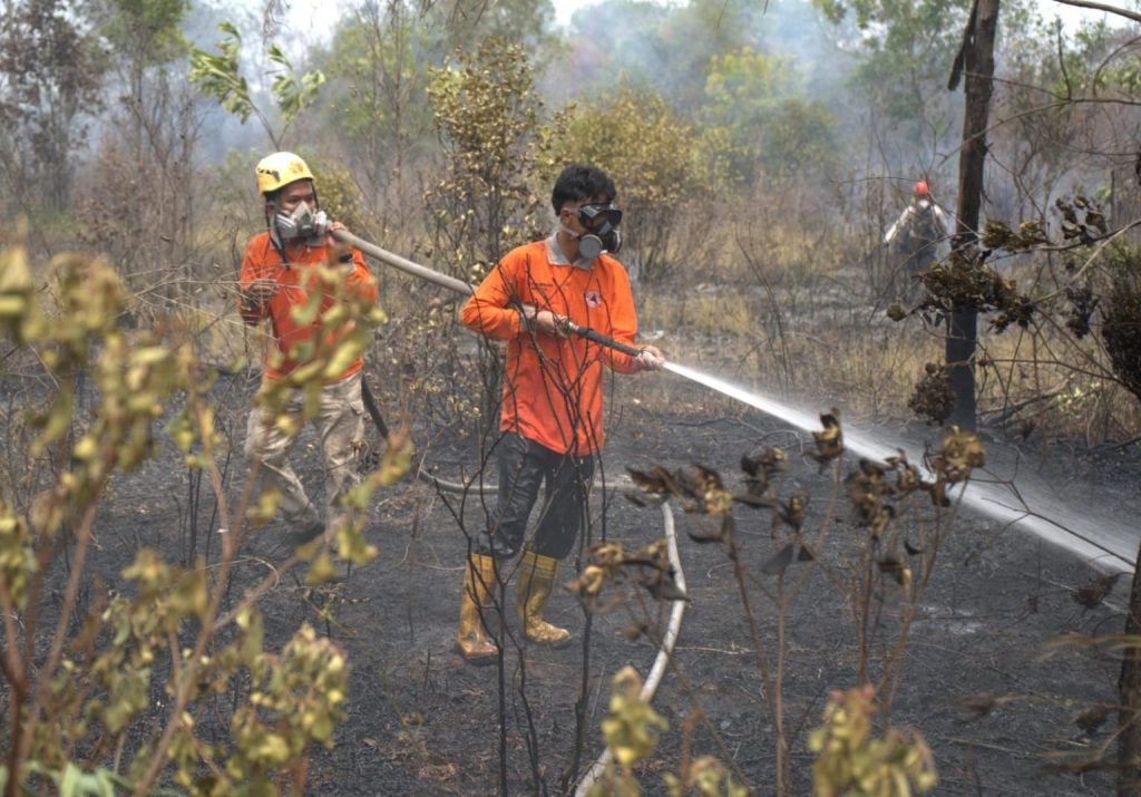Kebakaran Lahan 1,7 Hektare di Cindai Alus Berhasil Dikendalikan