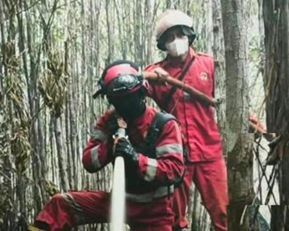: ilustrasi pemadaman karhutla oleh manggala agni kemenhut. (Foto: Humas Kemenhut)