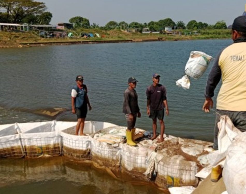 : Kementerian Pekerjaan Umum (PU) melaksanakan penanganan darurat di Bendung Karet Welahan Bum, Kabupaten Jepara, Jawa Tengah, selama proses rehabilitasi tengah berlangsung. (Foto: Humas Kemen PU)