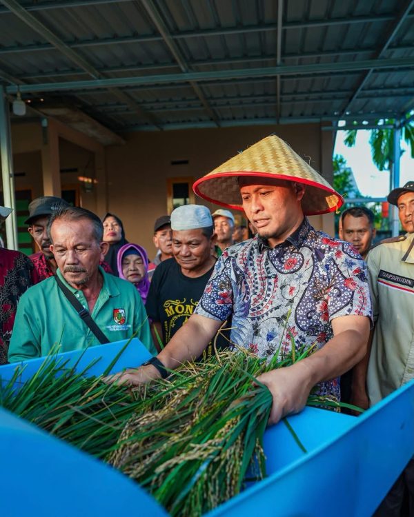 : Wali kota Pekanbaru Agung Nugroho bersamaKelompok Tani C99 menggelar panen raya padi gogo di lahan pertanian seluas lima hektare yang berada di Jalan Cendana, Kelurahan Meranti Pandak, Kecamatan Rumbai. - Foto: Mc.Pekanbaru