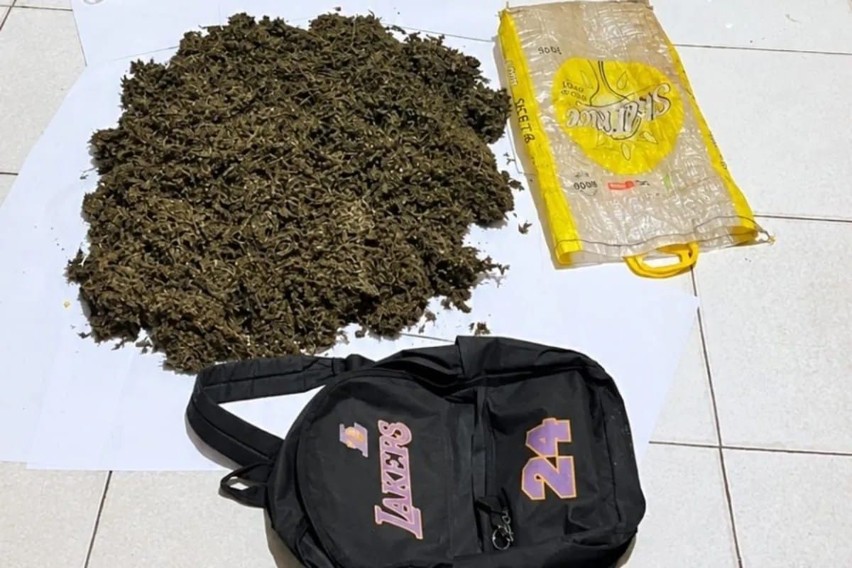 Polair Polda Papua Gagalkan Pengiriman 4 Kg Ganja ke Sorong, Kurir Dijanjikan Rp5 Juta