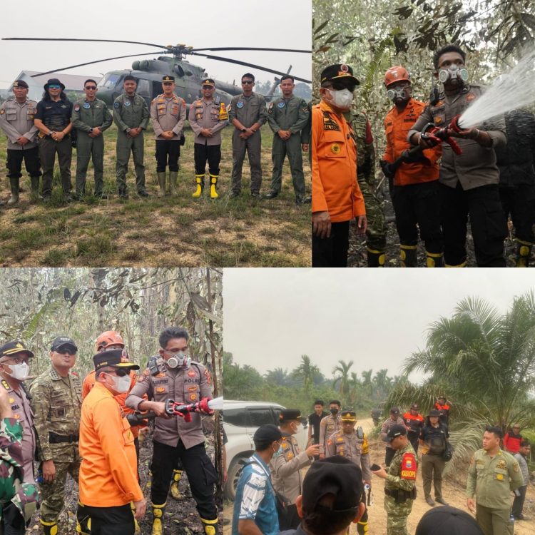 Polda Jambi Bersama Tim Gabungan Pantau Karhutla di TNBS, 5,5 Hektare Kawasan Hutan Masih dalam Penanganan