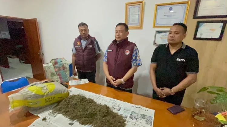 Polda Papua Sita 10 Kilogram Ganja dalam Operasi Sarang Narkoba