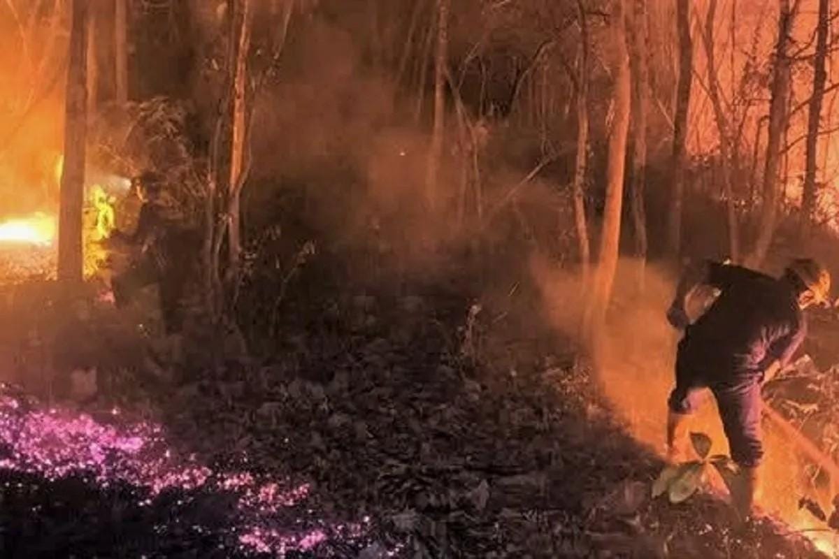 Polisi Telusuri Dugaan Karhutla Sengaja Dibakar di Magetan