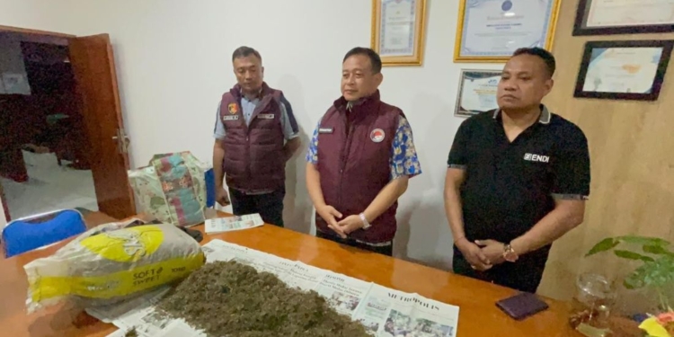 Polisi Temukan 10 Kg Ganja dan Amankan Empat Orang saat Operasi Sarang Narkoba di Jayapura