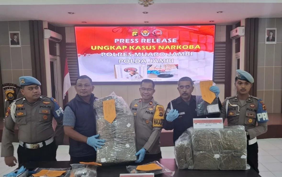 Polres Muaro Jambi Gagalkan Peredaran 30,8 Kg Ganja Asal Sumut, Satu Kurir Ditangkap