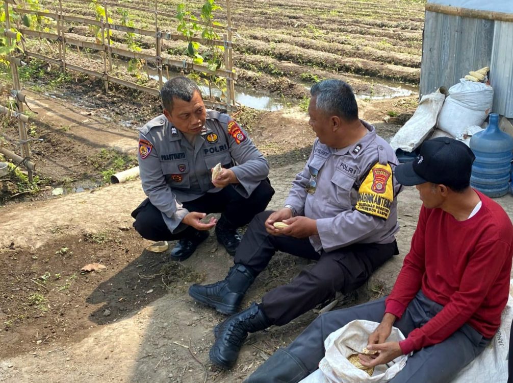 : Ketahanan pangan daerah membutuhkan pemanfaatan aset secara optimal dan kolaborasi lintas sektor. Polsek Gamping mendampingi pengelolaan lahan Tanah Kas Desa di Nogotirto guna persiapan budidaya tanaman jagung produktif, Rabu (5/8/2026).