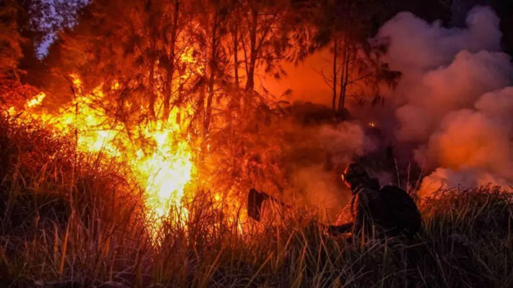 Prioritaskan Karhutla, Menlu RI Tegaskan Komitmen Indonesia kepada Singapura