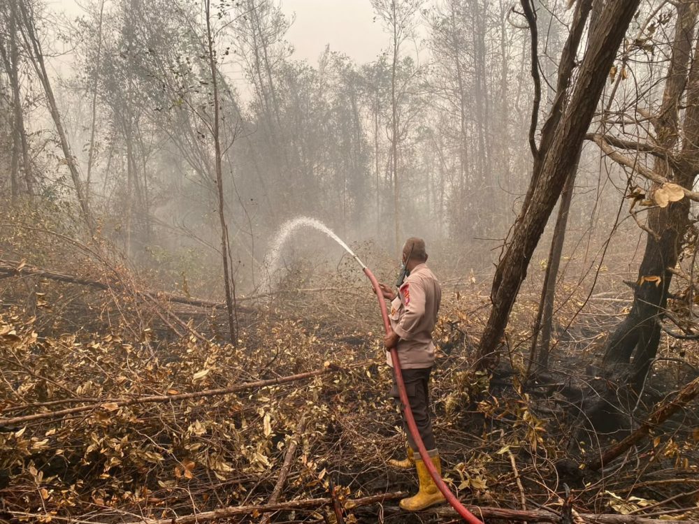 Satgas Karhutla Satbrimob Polda Kalteng Terus Lakukan Pembasahan di Tanjung Taruna