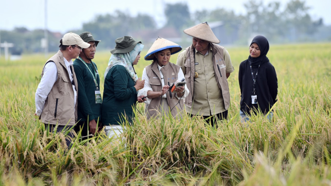 : Menteri Komunikasi dan Digital Meutya Hafid saat mencoba mengoperasikan perangkat IoT yang digunakan oleh petani di Desa Pengkok, Kabupaten Sragen, Rabu (05/11/2025). Ia mengatakan penerapan teknologi digital perlu diperluas ke sentra-sentra produksi pangan di berbagai daerah. Digitalisasi juga bisa digunakan untuk meningkatkan produktivitas masyarakat di desa. Foto: DRA/Komdigi