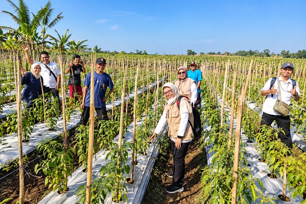 : DKPP Kabupaten Lumajang menyediakan dukungan pengendalian hama dan penyakit tanaman yang dapat diajukan petani melalui kelompok tani (poktan) .(DKPP Lumajang/Istimewa)