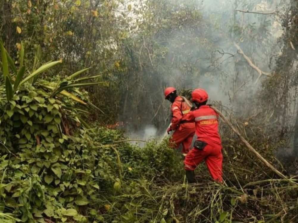 Tanggap Bencana Ekologi, LAN Tekankan Kesiapsiagaan ASN Jadi Agen Verifikasi Informasi Karhutla