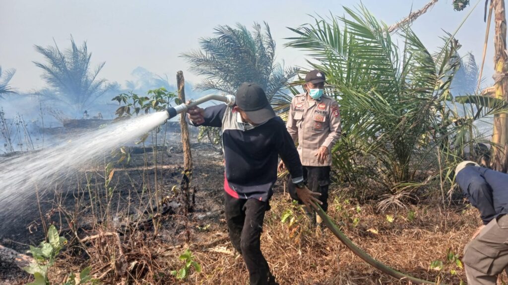 Tim Gabungan Berhasil Padamkan Karhutla di Batu Engau