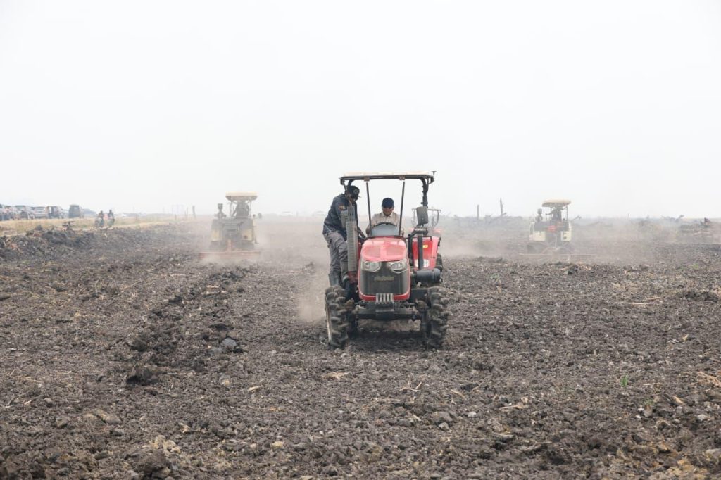 Wamentan Dorong Percepatan Tanam dan Produktivitas Cetak Sawah Merauke
