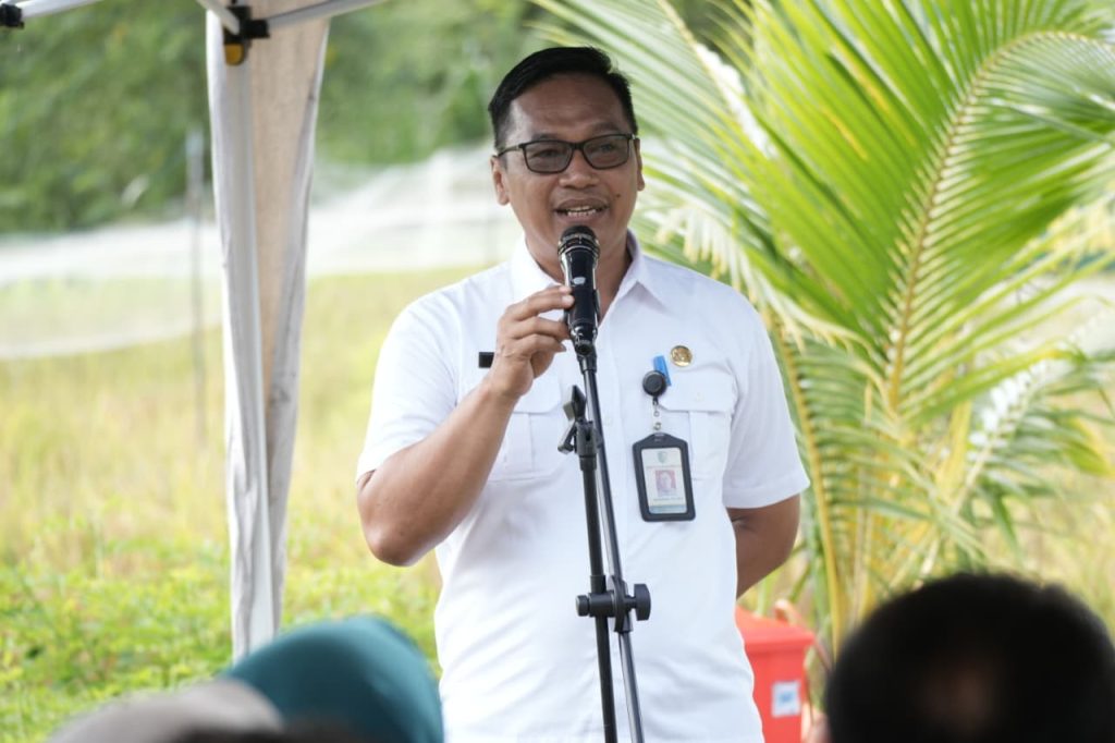 Warga Palangka Raya Bisa Dapat Bibit Cabai Gratis, Cukup Bawa Fotokopi KTP
