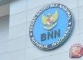 CPNS BNN 2024: Peluang Karier di Badan Narkotika Nasional dengan Formasi Berlimpah