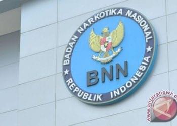 CPNS BNN 2024: Peluang Karier di Badan Narkotika Nasional dengan Formasi Berlimpah