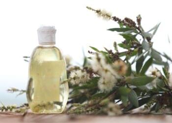 Manfaat Minyak Adas untuk Kesehatan yang Jarang Diketahui