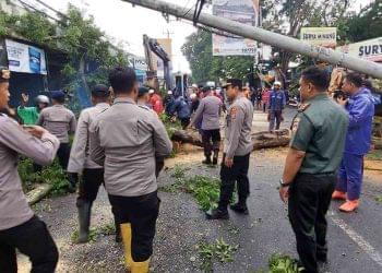 Petugas gabungan dari kepolisian, TNI, BPBD, dan relawan melakukan evakuasi pohon sono kapuk yang tumbang dan melintang di Jalan Parangtritis KM 7, Sewon